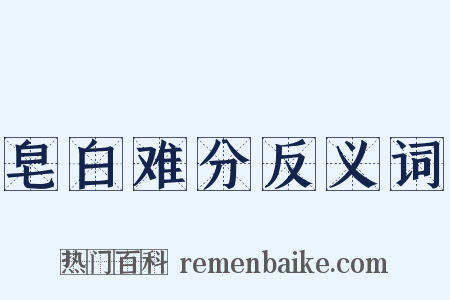皂白难分反义词是什么意思的图片